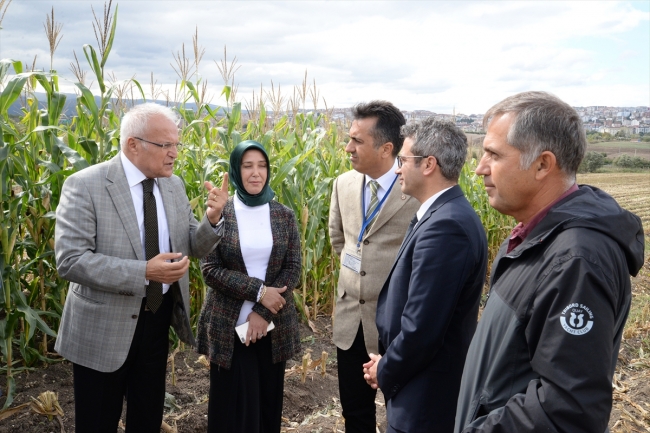 Bursa'da yerli mısırlar Tarla Günü'nde tanıtıldı